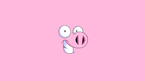 Pig, Face, Smile HD Wallpapers Free Download