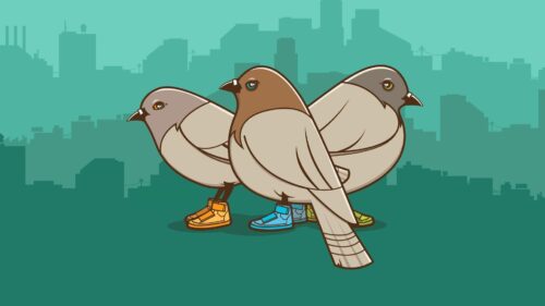 Pigeons, Birds, Drawing HD Wallpapers Free Download