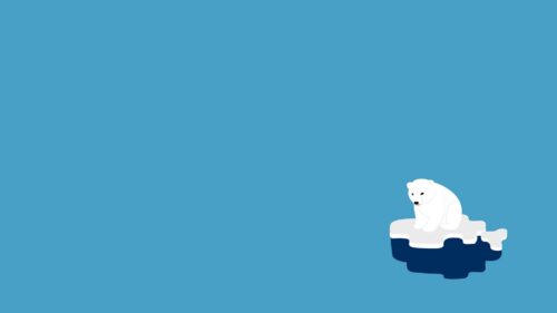 Polar Bear, Ice, Minimalism HD Wallpapers Free Download
