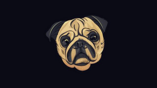 Pug, Dog, Art HD Wallpapers Free Download