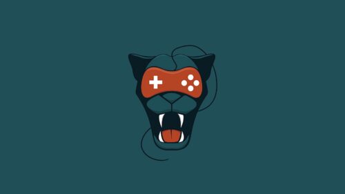 Puma, Joystick, Grin HD Wallpapers Free Download