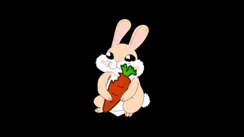Rabbit, Carrot, Art HD Wallpapers Free Download