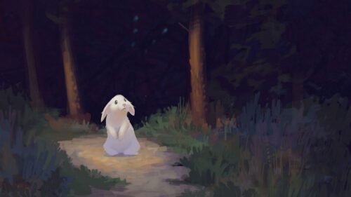 Rabbit, Forest, Dark HD Wallpapers Free Download