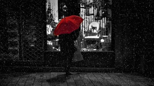 Rain, Umbrella, BW HD Wallpapers Free Download