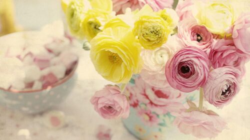 Ranunkulyus, Flowers, Vase HD Wallpapers Free Download