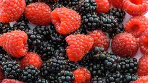 Raspberries, BlackBerries, Juicy, Ripe HD Wallpapers Free Download