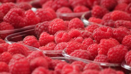 Raspberry, Berry, Ripe, Bowl HD Wallpapers Free Download