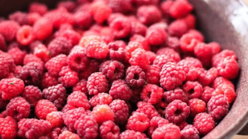 Raspberry, Berry, Ripe HD Wallpapers Free Download (2)