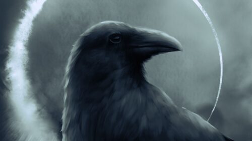 Raven, Bird, Art HD Wallpapers Free Download (2)