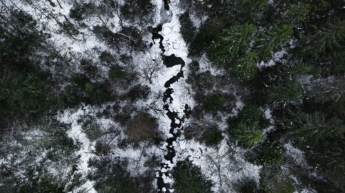 River, Forest, Aerial View HD Wallpapers Free Download