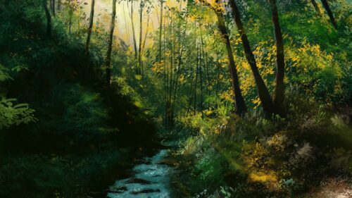 River, Stream, Forest HD Wallpapers Free Download