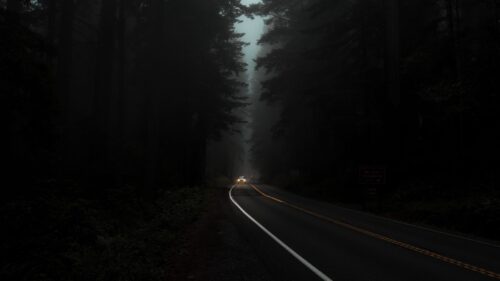 Road, Fog, Lights HD Wallpapers Free Download