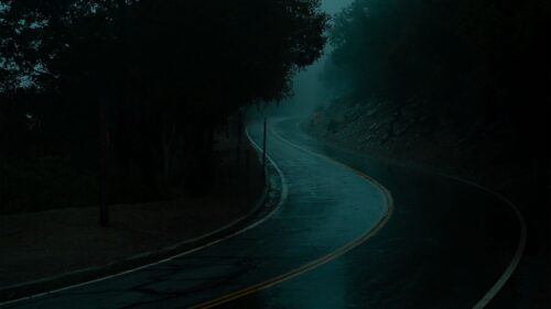 Road, Turn, Fog HD Wallpapers Free Download