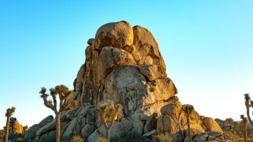 Rocks, Mountains, Trees Wallpapers Free Download