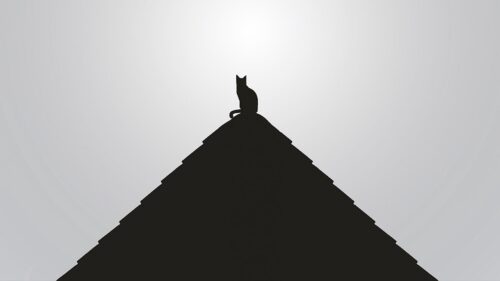 Roof, Cat, Black Wallpapers Free Download