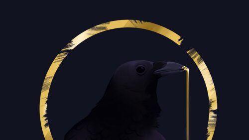 Rook, Bird, Circle Wallpapers Free Download