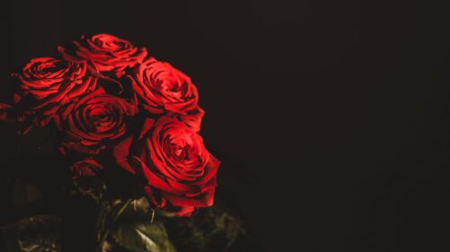Roses, Bouquet, Flowers Wallpapers Free Download