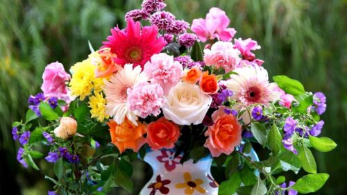 Roses, Gerberas, Carnations Wallpapers Free Download