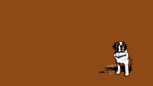 ST, Bernard, Lifeguard, Dog Wallpapers Free Download