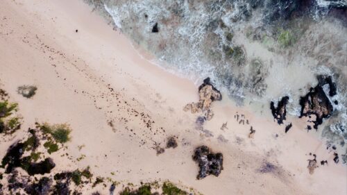Sea, Beach Wallpapers Free Download