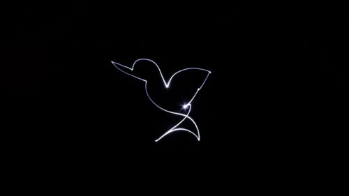 Shape, Neon, Black Wallpapers Free Download