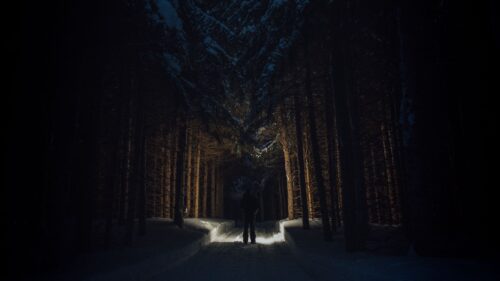 Silhouette, Forest, Road Wallpapers Free Download