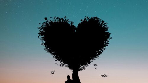 Silhouette, Heart, Love, Tree Wallpapers Free Download