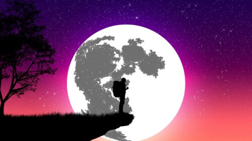 Silhouette, Moon, Art Wallpapers Free Download