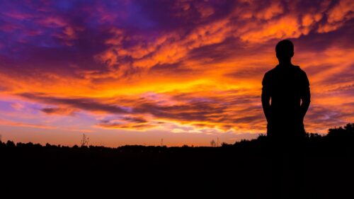 Silhouette, Sunset, Sky, Night Wallpapers Free Download