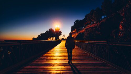 Silhouette, Sunset, Solitude Wallpapers Free Download