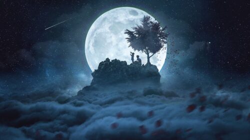 Silhouettes, Moon, Night Wallpapers Free Download