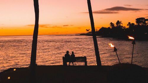 Silhouettes, Palm, Trees, Sunset Wallpapers Free Download