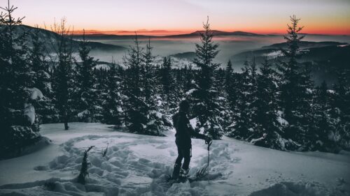 Skier, Snow, Winter, Trees 4K Desktop Wallpapers Free Download