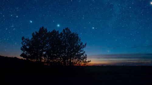 Sky, Night, Trees Wallpapers Free Download