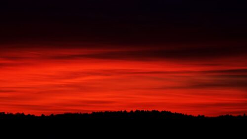 Sky, Red, Horizon, Trees 4K Desktop Wallpapers Free Download