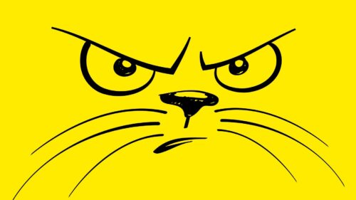 Smiley, Cat, Angry 4K Desktop Wallpapers Free Download