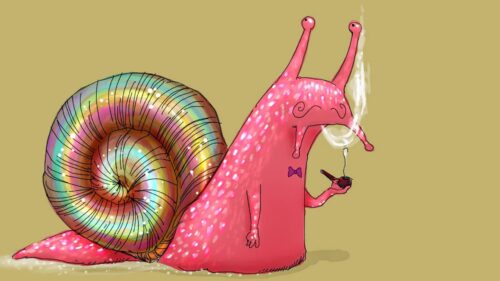 Snail, Bright, Pink 4K Desktop Wallpapers Free Download