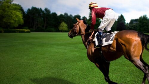 Sports, Equestrian, Horse, Rider Wallpapers Free Download