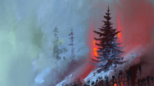 Spruce, Cliff, Roots Wallpapers Free Download