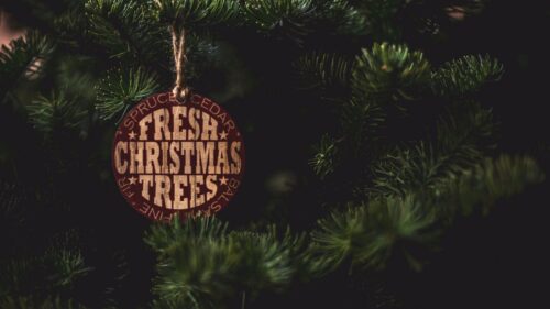 Spruce, Label, Inscription Wallpapers Free Download