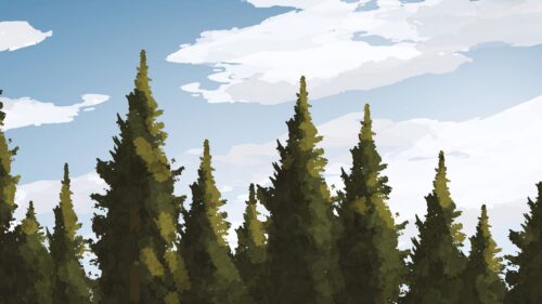 Spruce, Trees, Forest Wallpapers Free Download
