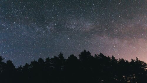 Starry, Sky, Night, Trees Wallpapers Free Download (2)