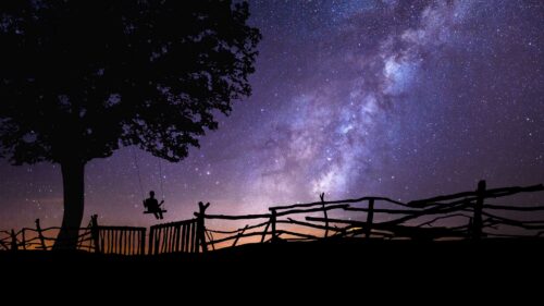Starry, Sky, Silhouette Wallpapers Free Download (2)