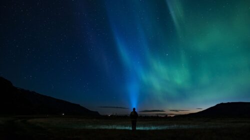 Starry, Sky, Silhouette Wallpapers Free Download