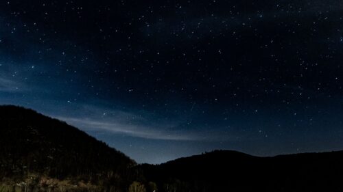 Starry, Sky, Stars, Trees Wallpapers Free Download