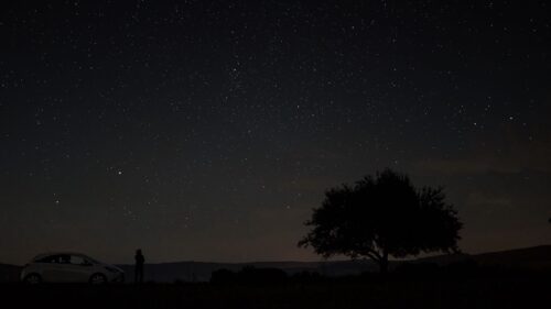 Starry, Sky, Tree, Night, Sky Wallpapers Free Download