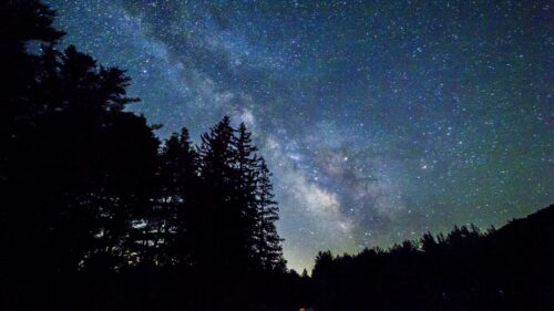 Starry, Sky, Trees, Galaxy Wallpapers Free Download