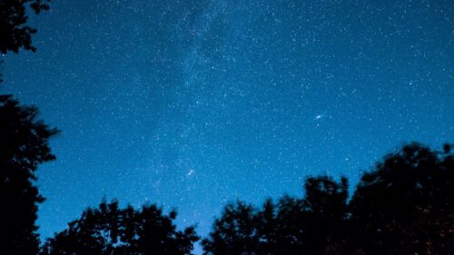 Starry, Sky, Trees, Stars, Night Wallpapers Free Download