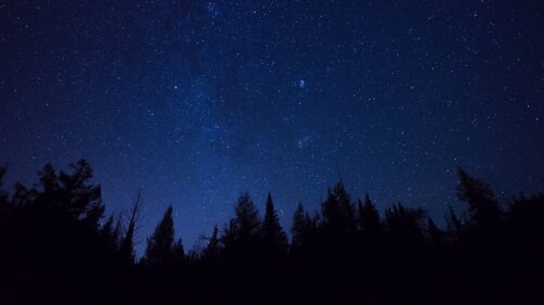 Starry, Sky, Trees Wallpapers Free Download