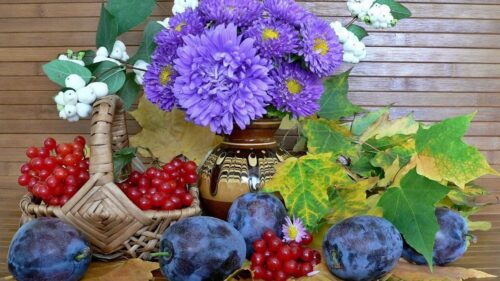 Still, Life, Flowers, Plums Wallpapers Free Download